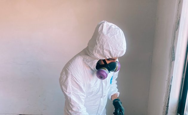 Photo of Mold Testing & Mold Removal Services Dallas