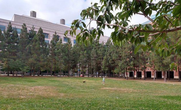 Photo of Koret Quad