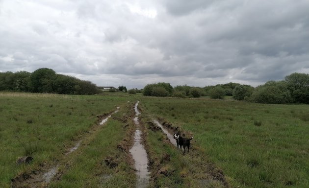 Photo of Peel Hall Farm