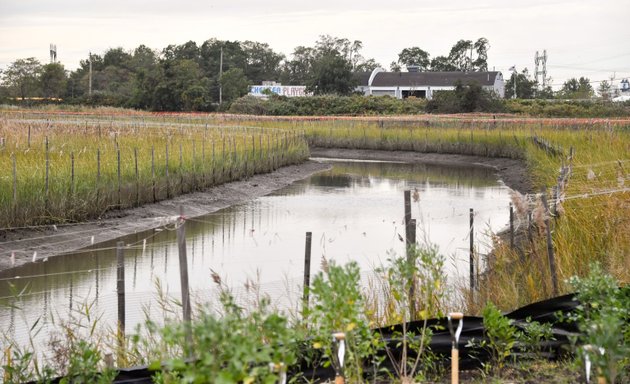 Photo of Saw Mill Creek Marsh