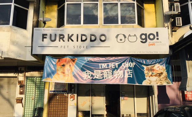 Photo of Furkiddo pet store