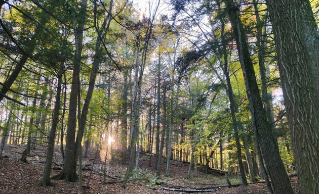 Photo of Rouge River Park