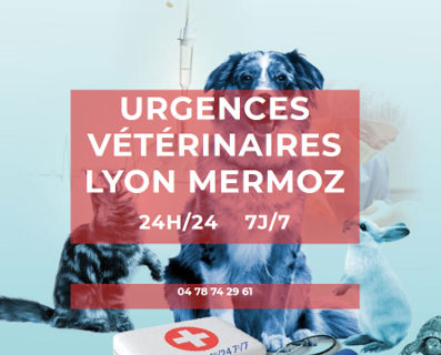 Photo de Lyon Mermoz Urgences Veterinaires