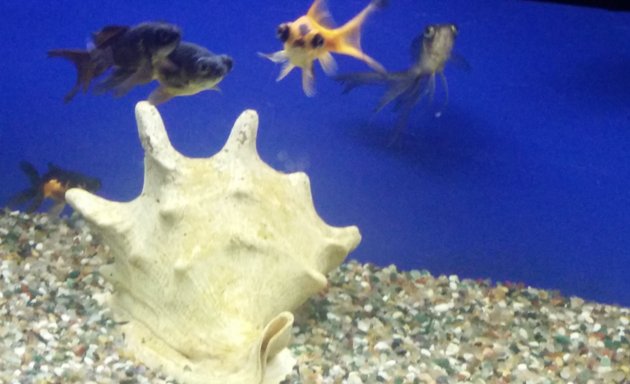 Photo of Government Aquarium