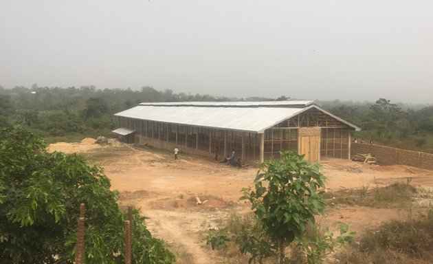 Photo of Adu Poku Farms