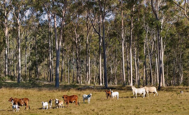 Photo of EnviroCapital