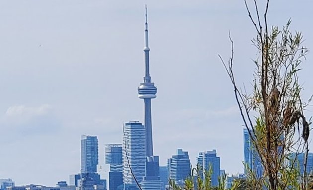 Photo of Tommy Thompson park
