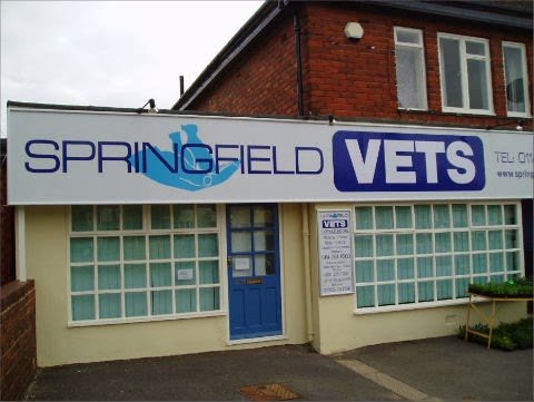 Photo of Springfield Veterinary Group - Gleadless