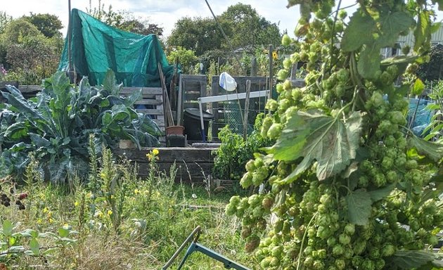 Photo of Knollmead Allotments