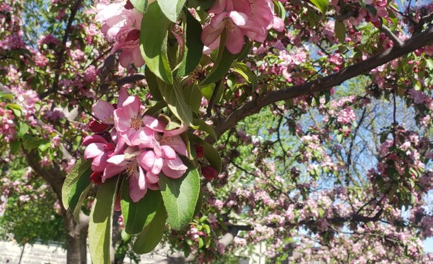 Photo of Parc Soeur-Madeleine-Gagnon