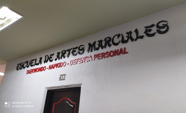 Foto de Escuela de Artes Marciales Forma más Salud