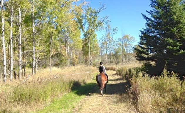 Photo of Meadowvale Farm Equestrian Centre