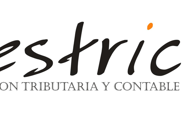 Foto de Gestión Tributaria y Contable Spa (Gestric)