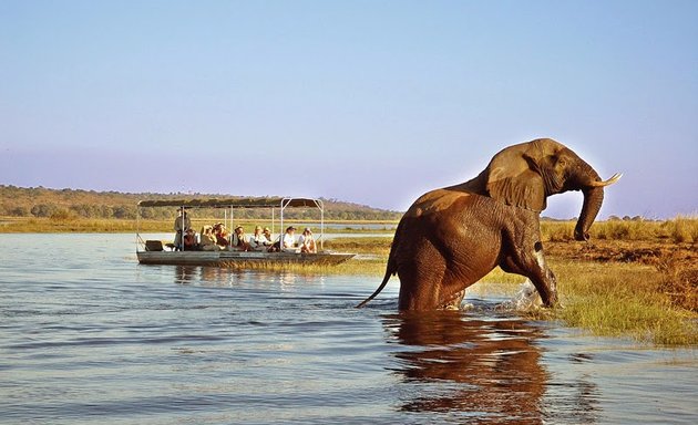 Foto von Safaris à la carte