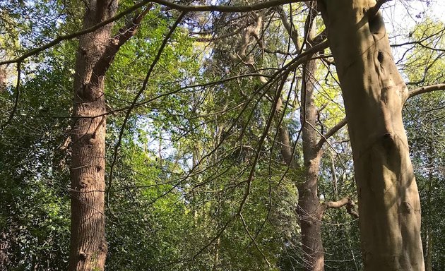 Photo of Deep Dene play area