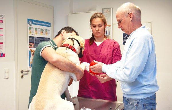 Foto von Dr. med. vet. Otto Doermer