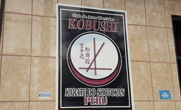 Foto de Kobushi