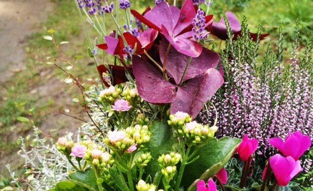 Foto von Blumenladen auf dem Friedhof "In den Kisseln"