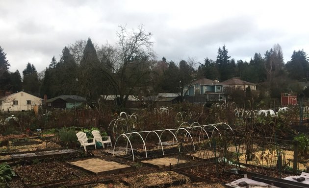Photo of Picardo Farm P-Patch Community Garden