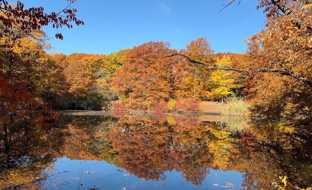 Photo of Riverway park