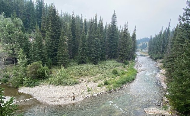 Photo of Fly Fishing Bow River Outfitters