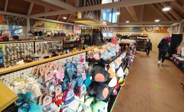 Photo of Zootique Gift Shop