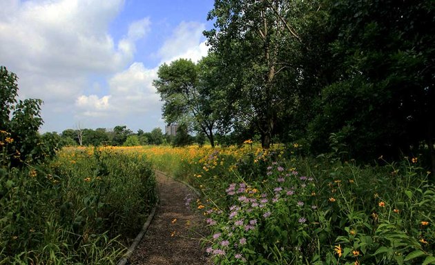 Photo of applied habitats