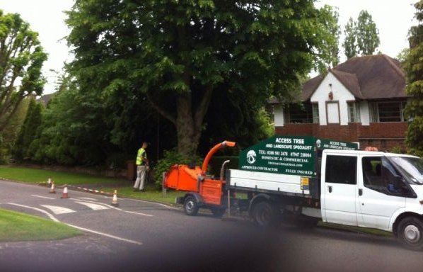 Photo of Access Tree Specialists