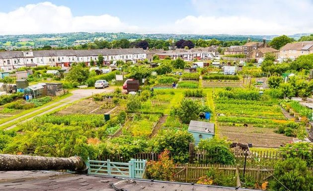 Photo of Willow Green Allotments