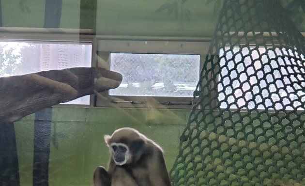 Photo of Valley Zoo Animal habitat