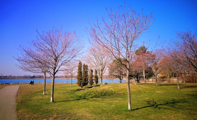 Photo of Rotary Peace Park