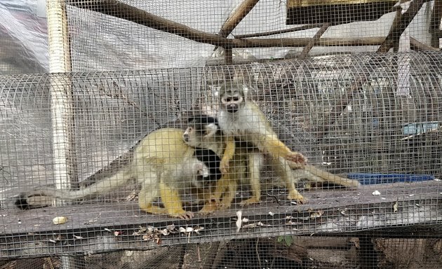 Foto de Centro de Primates Peñaflor