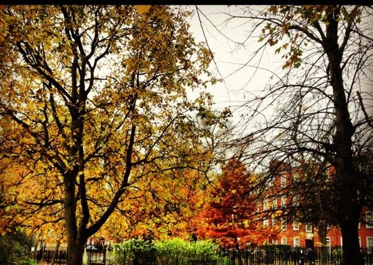 Photo of Canonbury Gardens