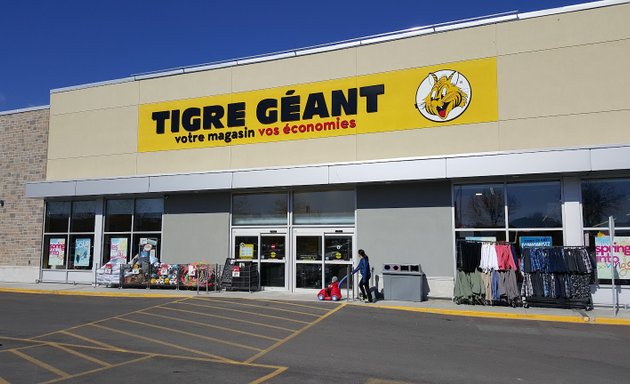 Photo of Tigre Géant