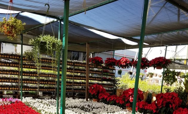 Photo of Ventura Nurseries