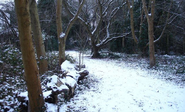 Photo of Grove Park Nature Reserve