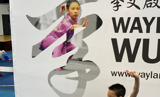 Photo of Wayland Li Martial Arts Centre 李文启武术学院