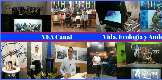 Foto de Vea Canal