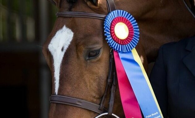 Photo of Benchmark Equestrian