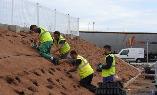 Foto de Cubiertas y Muros Verdes