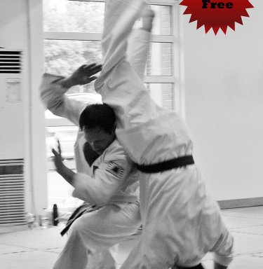 Photo of Shu-Ho Jujitsu