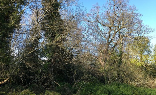 Photo of Harvington Sports Ground