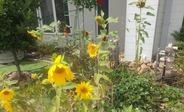 Photo of Pebblebeach Path Community Garden