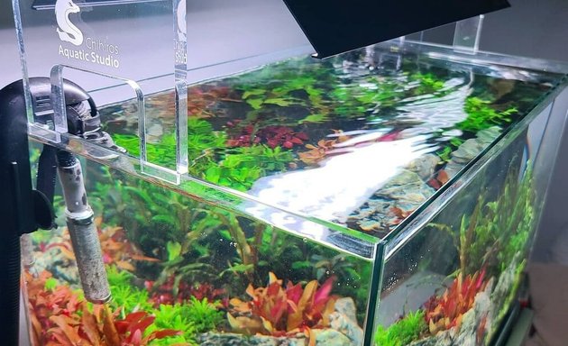 Photo of AquariumCO2