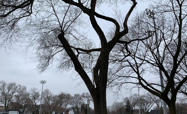 Photo of Queensway Park