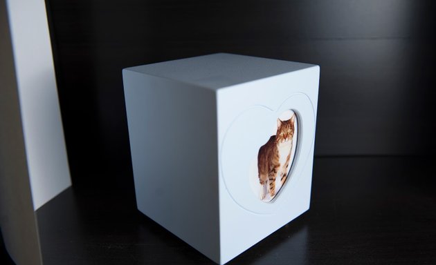 foto Exequia Pet | Cremazione Animali Domestici