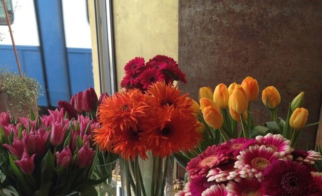Foto von Blumen am Stauffacher