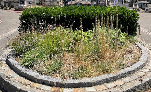 Photo de Cimetière de Terre Cabade