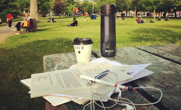 Photo of Christie Pits Park