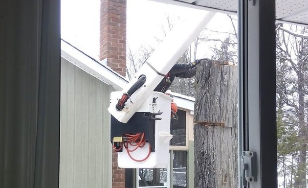 Photo of Stittsville Tree Service